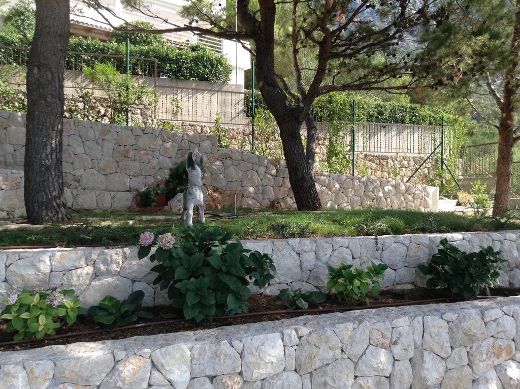 Apartament Oksana Mimice
